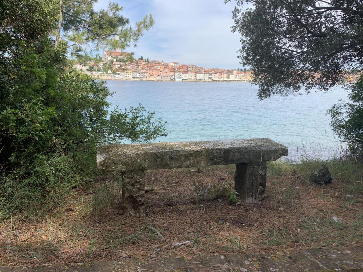 "Art House" Rovinj-Holiday, Holiday Home To Rent Rovinjsko Selo Extérieur photo